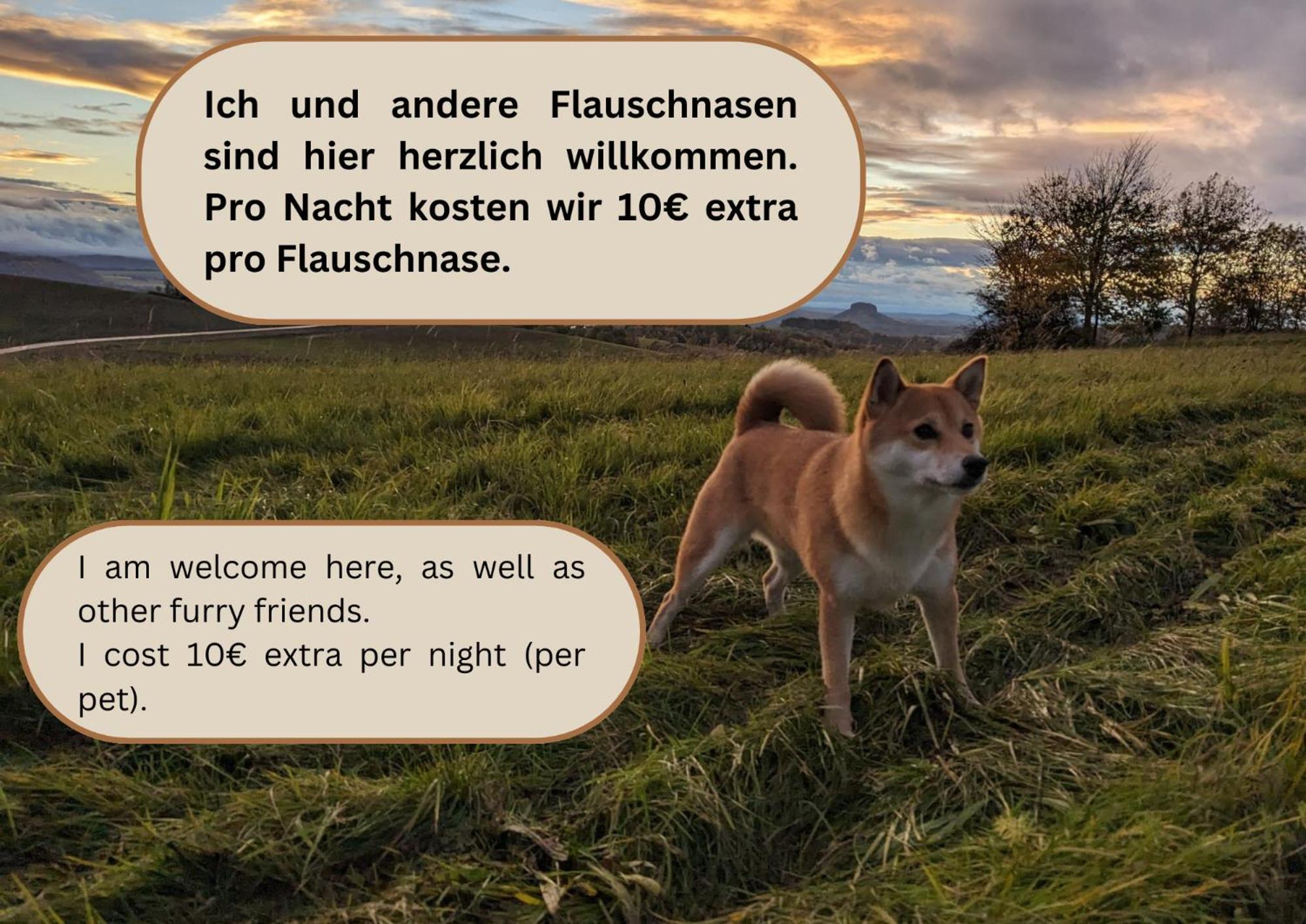 세브니츠 S2 - Urlaubsmagie - Am Wanderweg Mit Terrasse 아파트 외부 사진